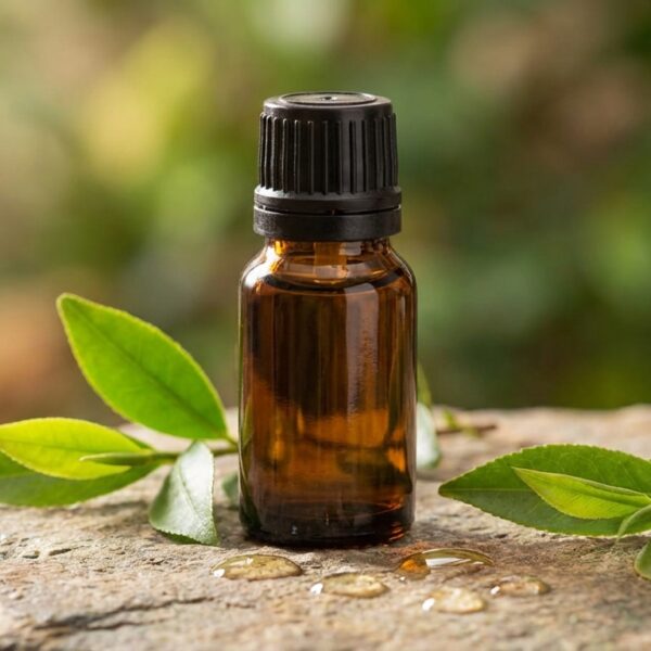 Aceite Esencial de Arbol de Te – Puro – Para Cosmetica Natural – Antiséptico y Purificante