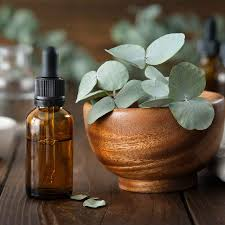 Aceite Esencial de Eucalipto Puro – Descongestionante y Purificante – Para Aromaterapia y Ungüentos